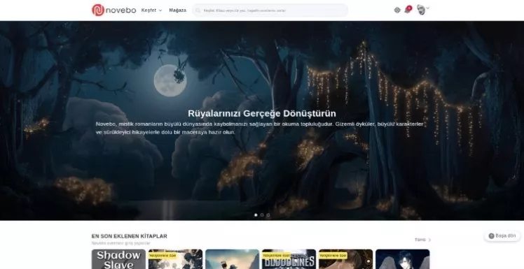 Türkçe Novel okuma sitesi Novebo