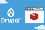 Drupal 11'de Cache Optimizasyonu: Redis ve BigPipe Birlikte Kullanımı