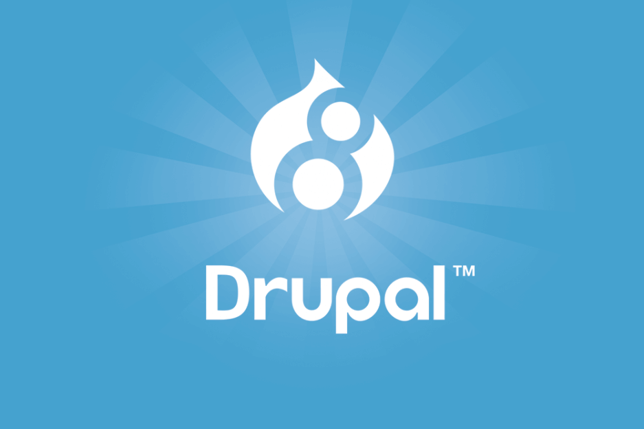 Drupal 8'de Entity ile Otomatik Tamamlanan Sonuçları Nasıl Değiştirebilirim?